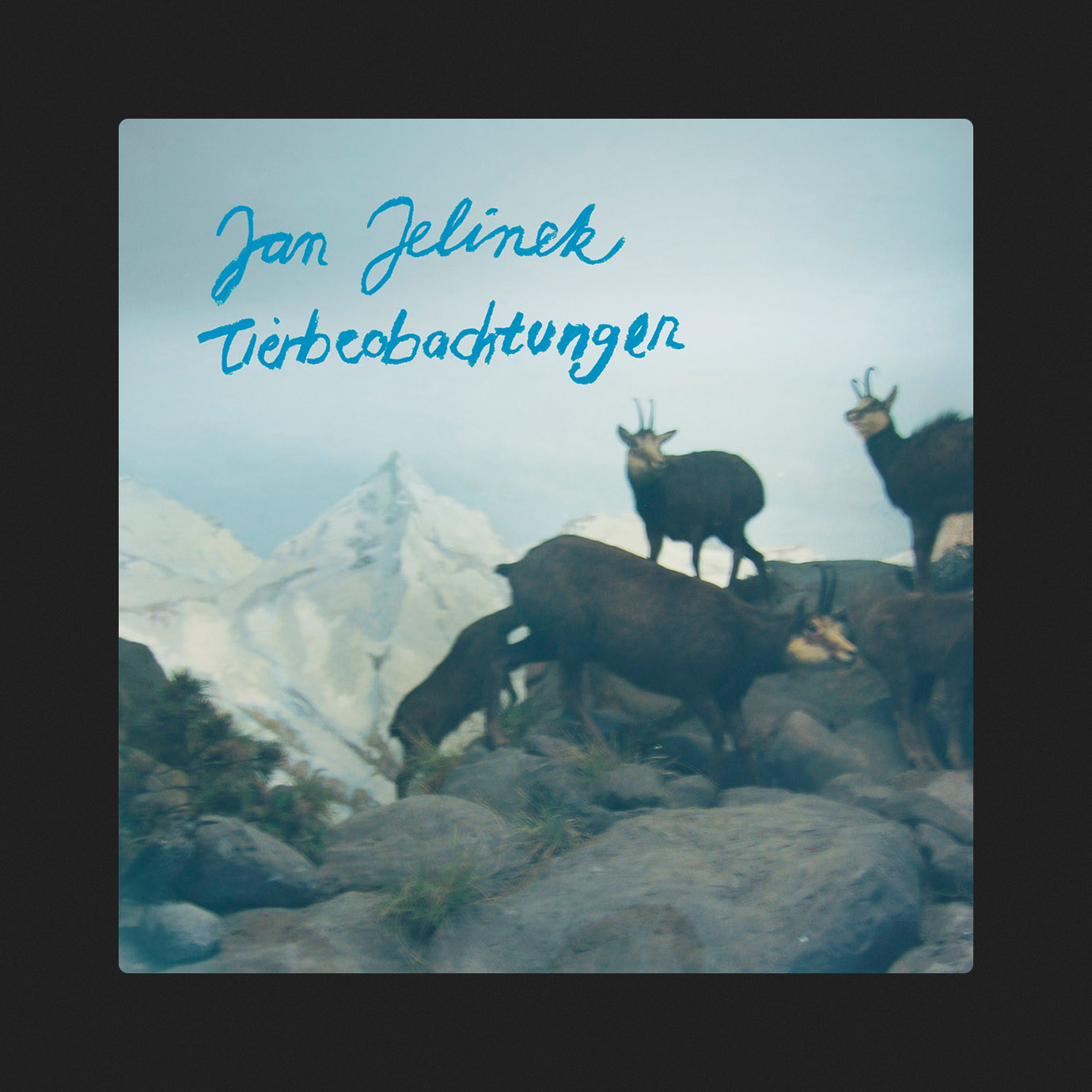 Tierbeobachtungen — Jan Jelinek (2006)