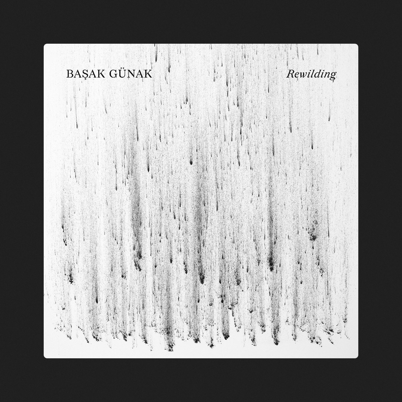 Rewilding — Başak Günak (2024)