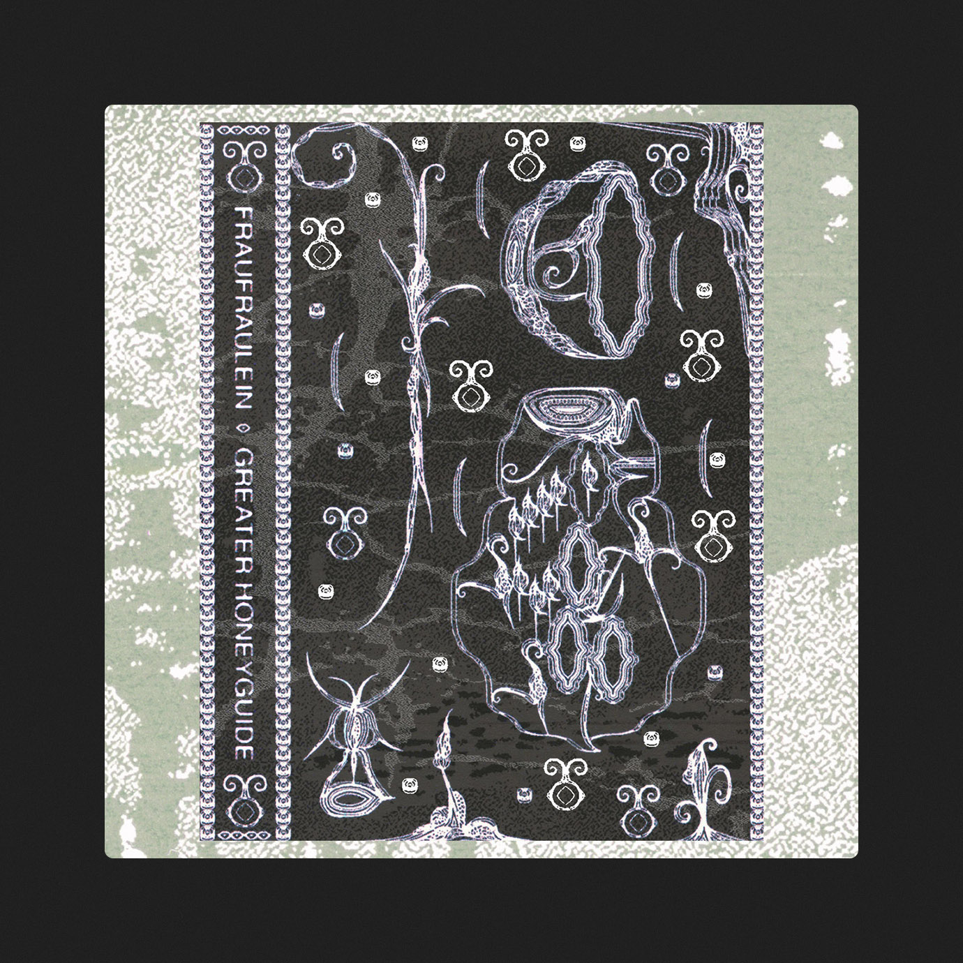 Greater Honeyguide — Fraufraulein (2025)