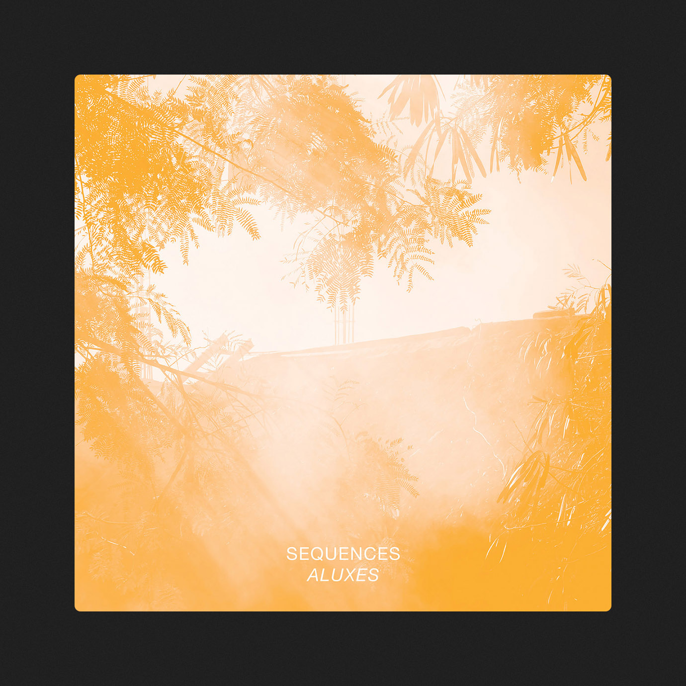 Aluxes — Sequences (2025)
