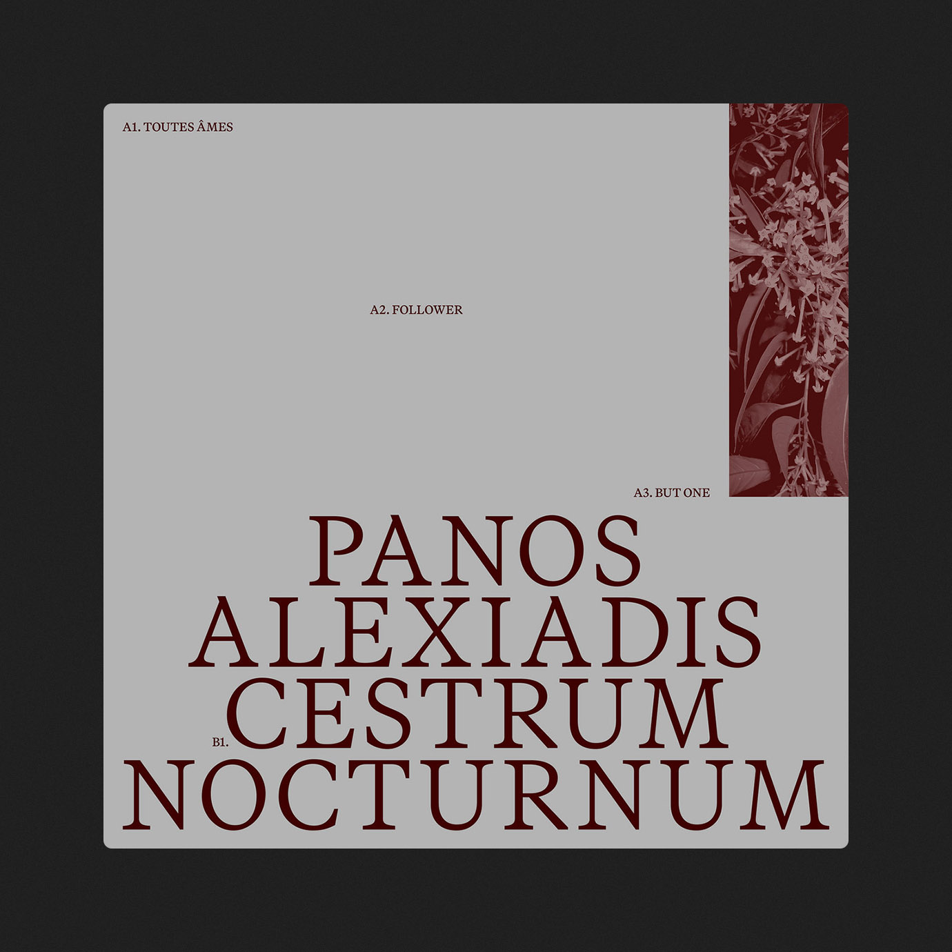Cestrum Nocturnum — Panos Alexiadis (2025)