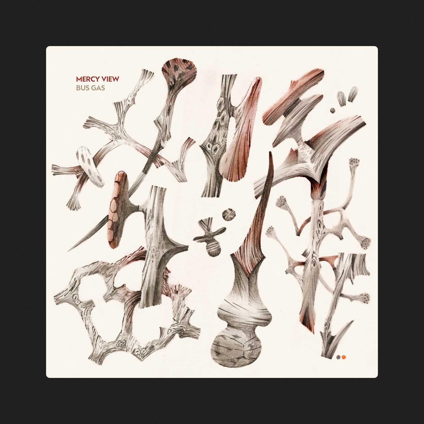 Mercy View — Bus Gas (2025)