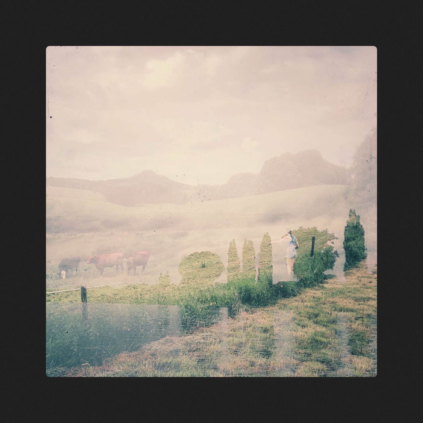 Velvet Meadow Resonance Fragment — Xu, Oberlin (2025)