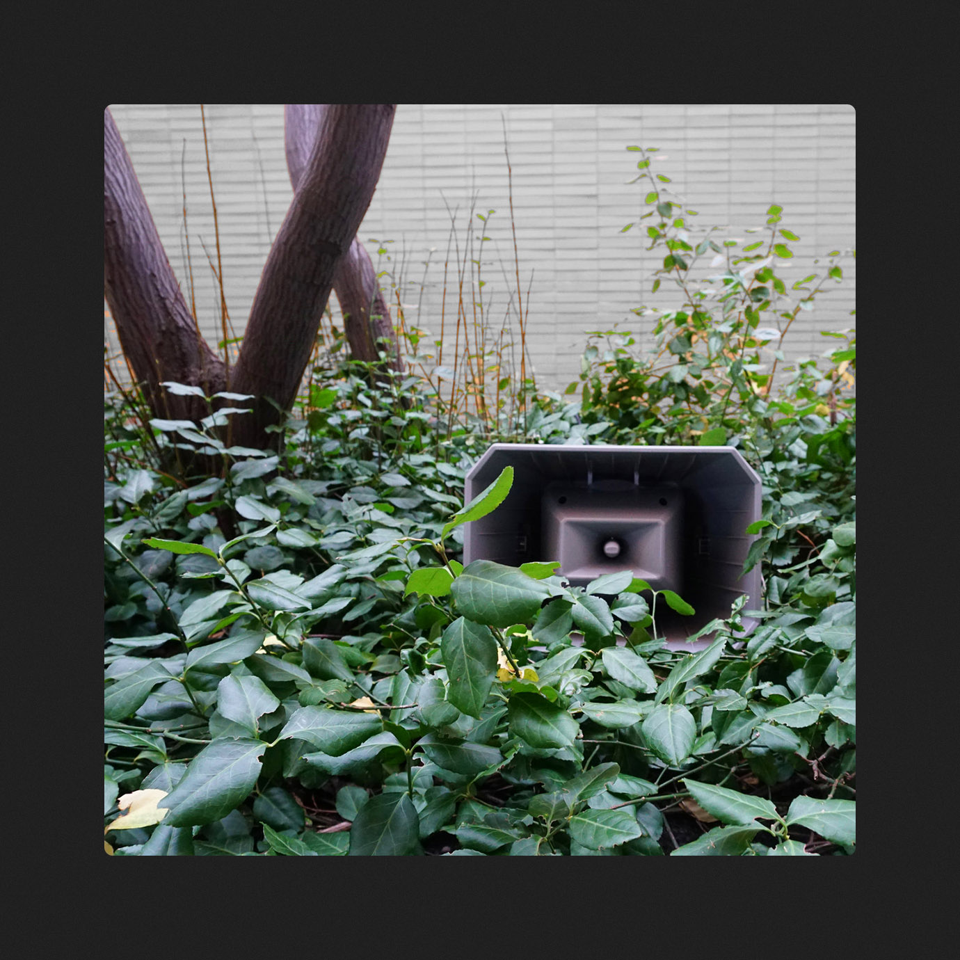 Muzak for the Encouragement of Unproductivity — Jasmine Guffond (2025)