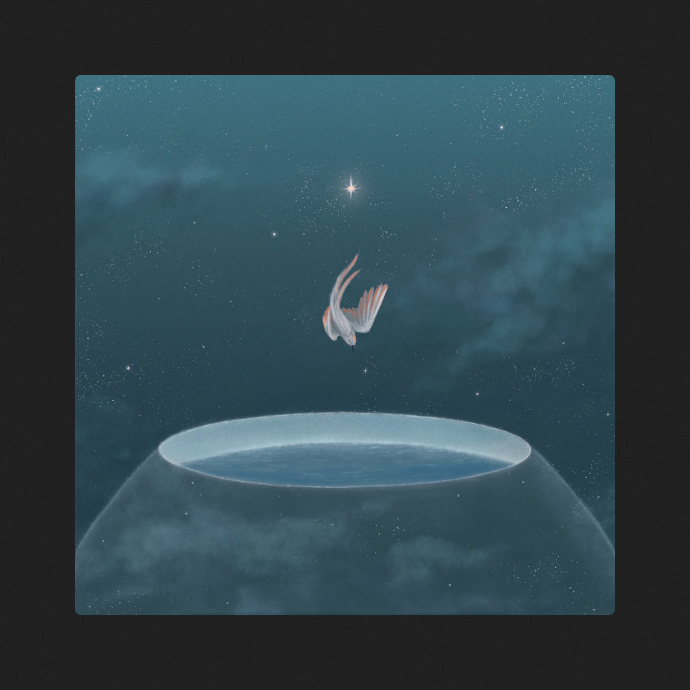 No Wind — Rhucle (2025)