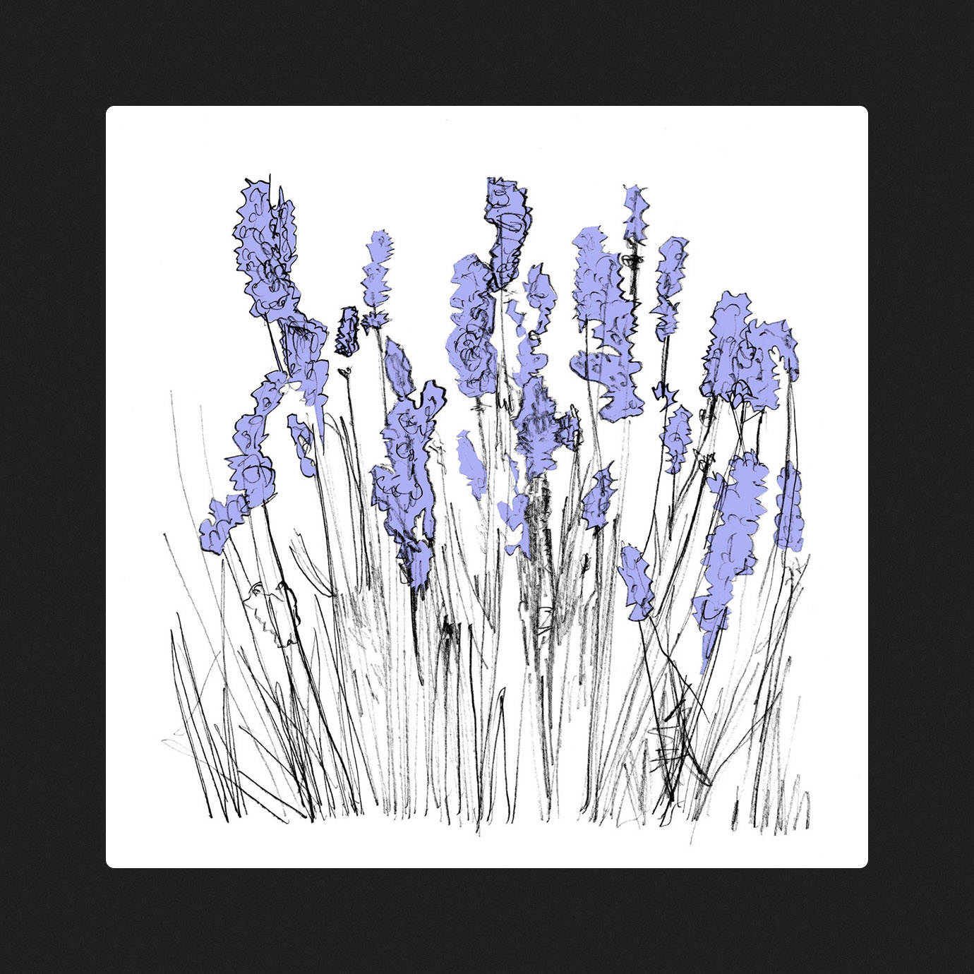 Music To Watch Seeds Grow By 006 (Lavender) — Lapalace (2025)