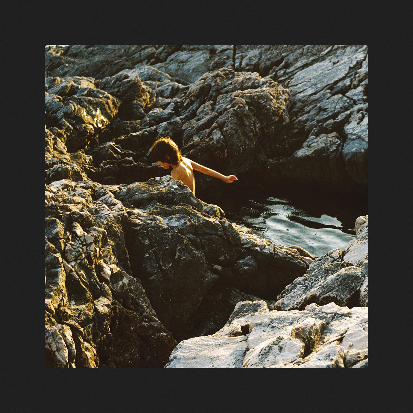Sargassum Aeterna — Manja Ristić (2025)