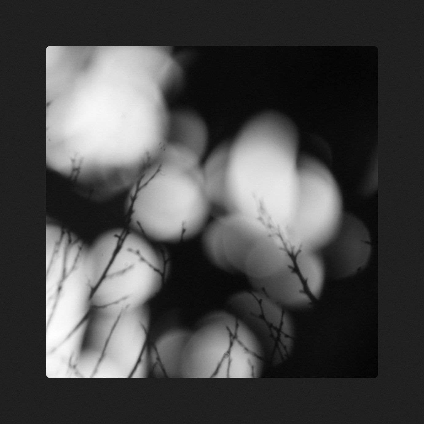 Silentium — zakè [ft. various artists] (2025)