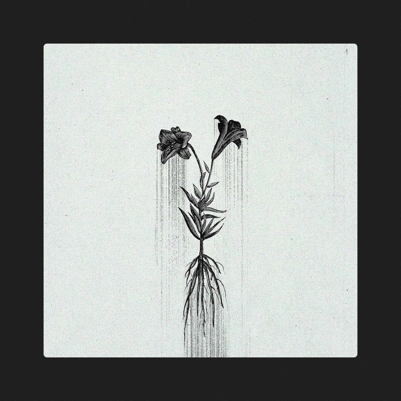 Æternum — Penelope Trappes (2025)