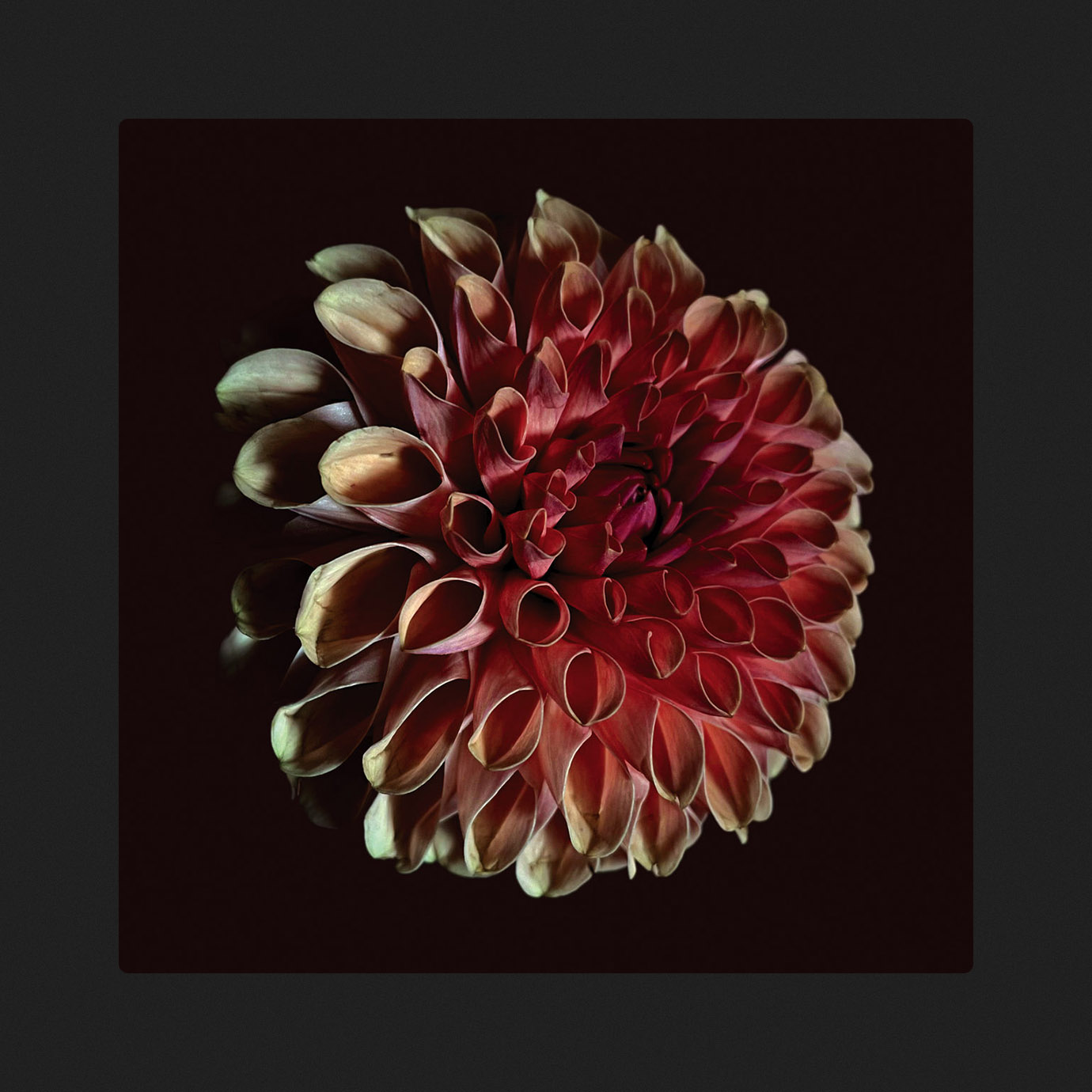 Unfolding — Jessica Moss (2025)