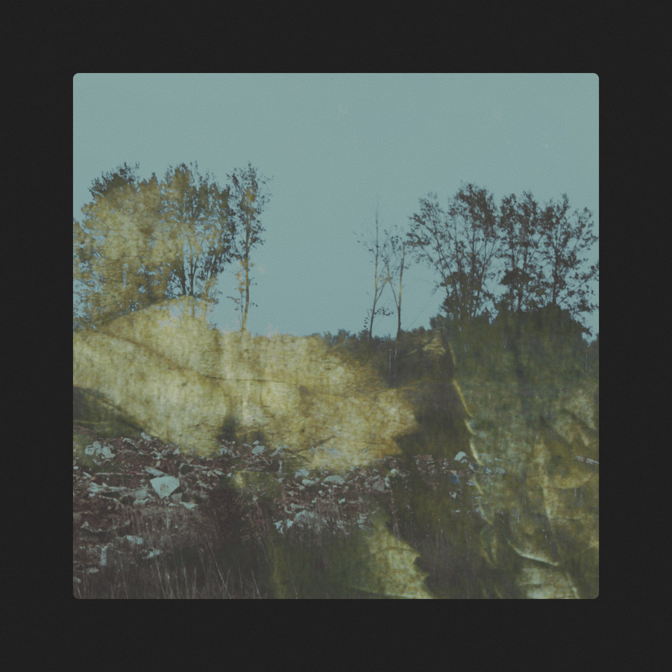 Partial Holograms — Tapes and Topographies (2025)