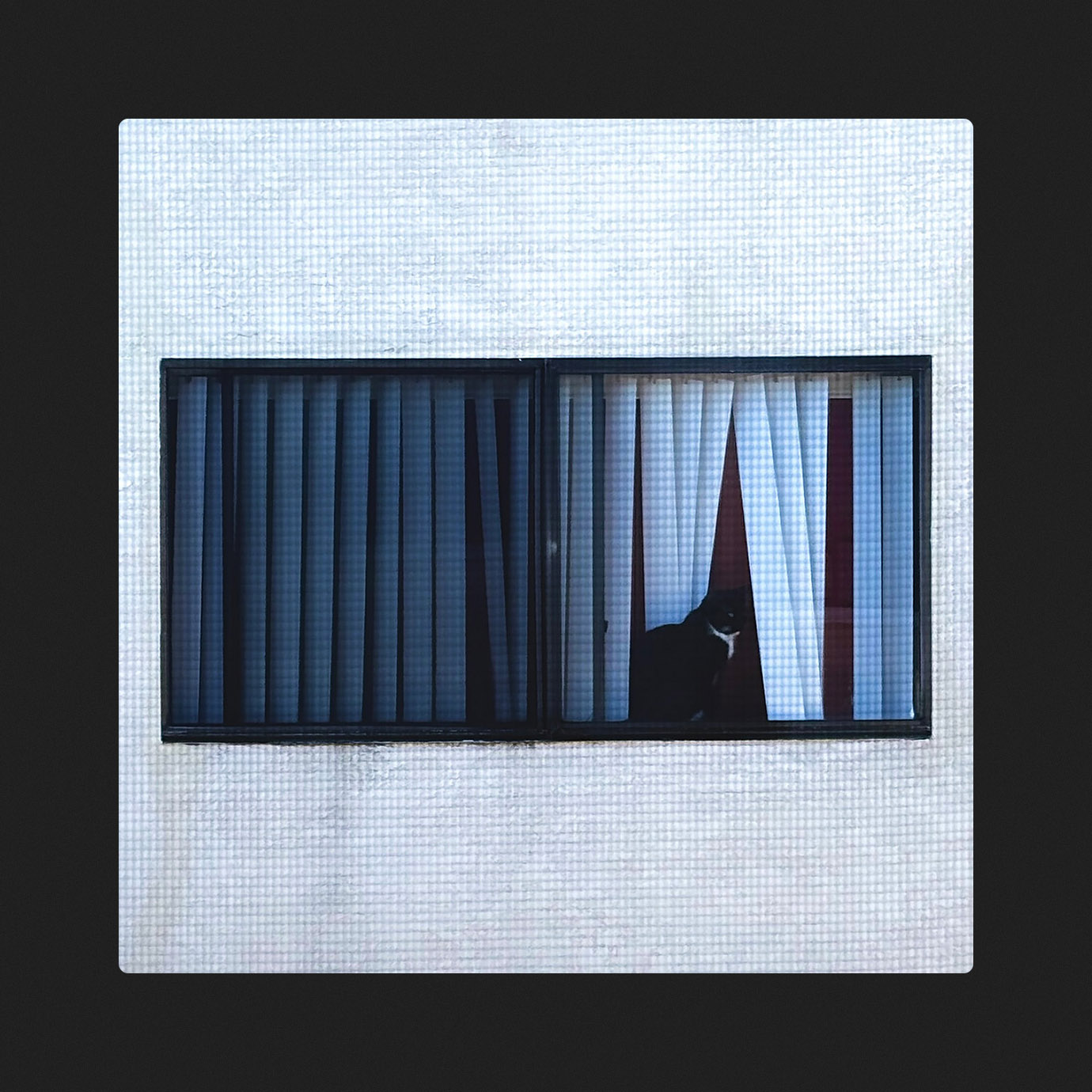 I Created The Universe So That Life Could Create a Language So Complex, Just To Say How Much I Love You — Sega Bodega (2025)