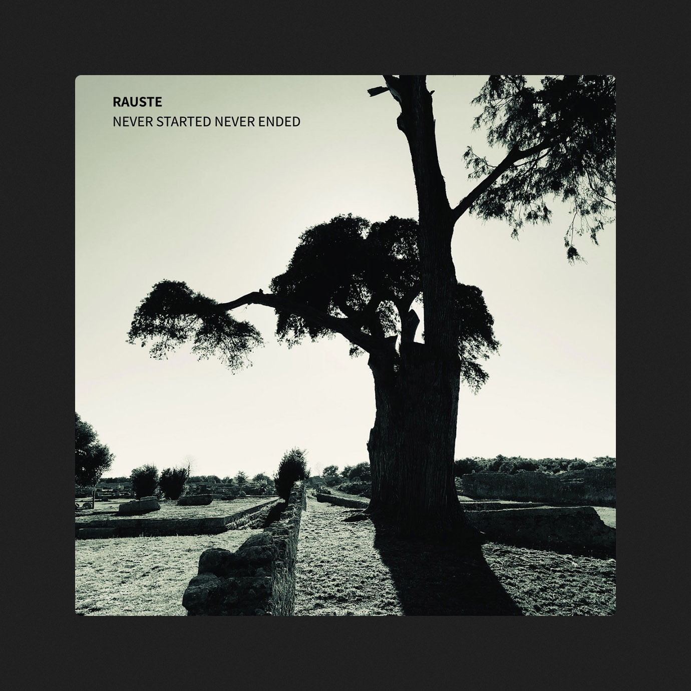 Never Started Never Ended — Rauste (2025)