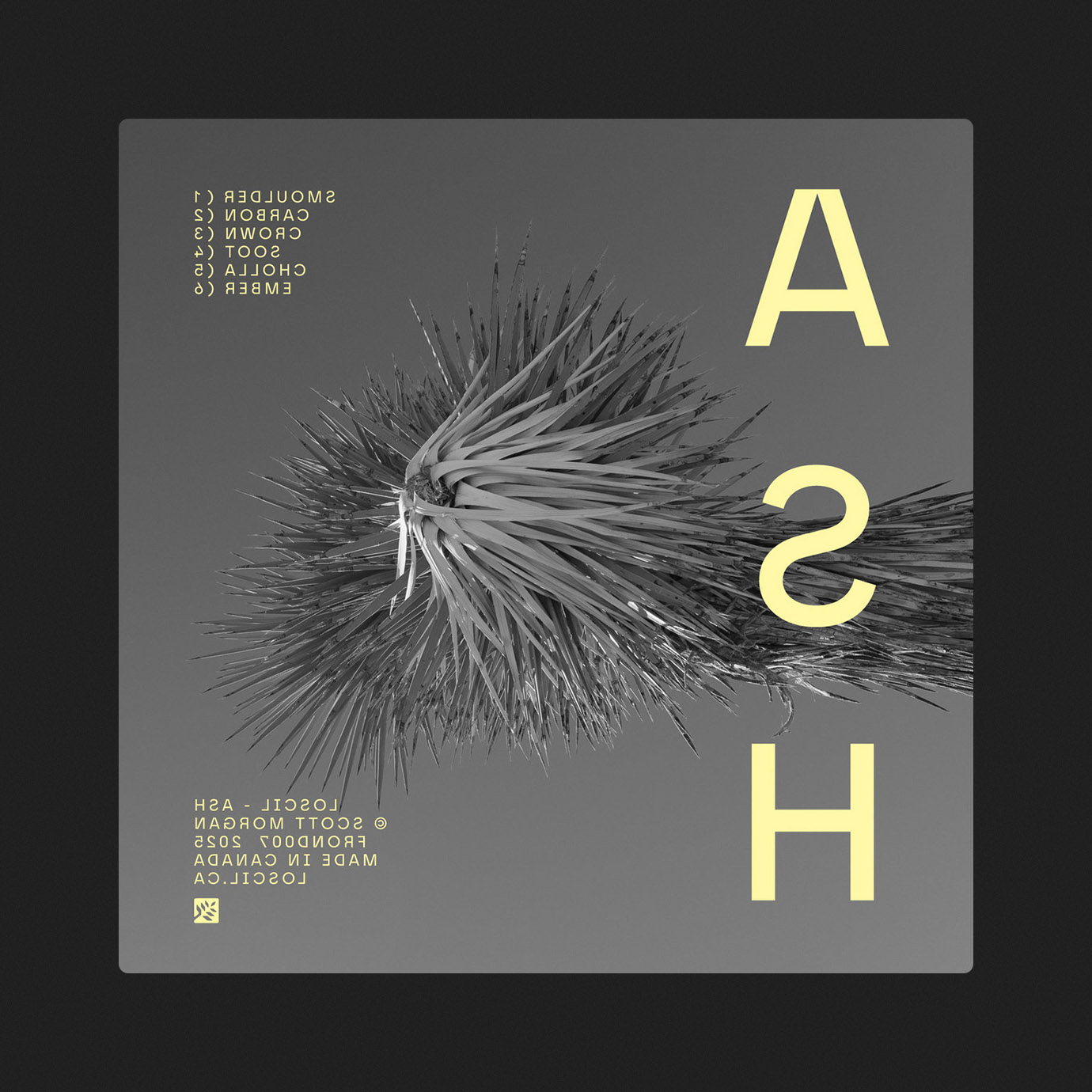 Ash — Loscil (2025)