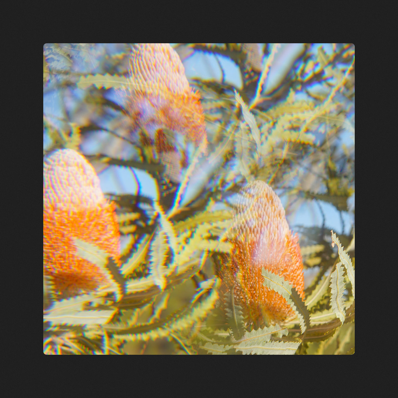 Expansion A (South) — IKSRE (2025)