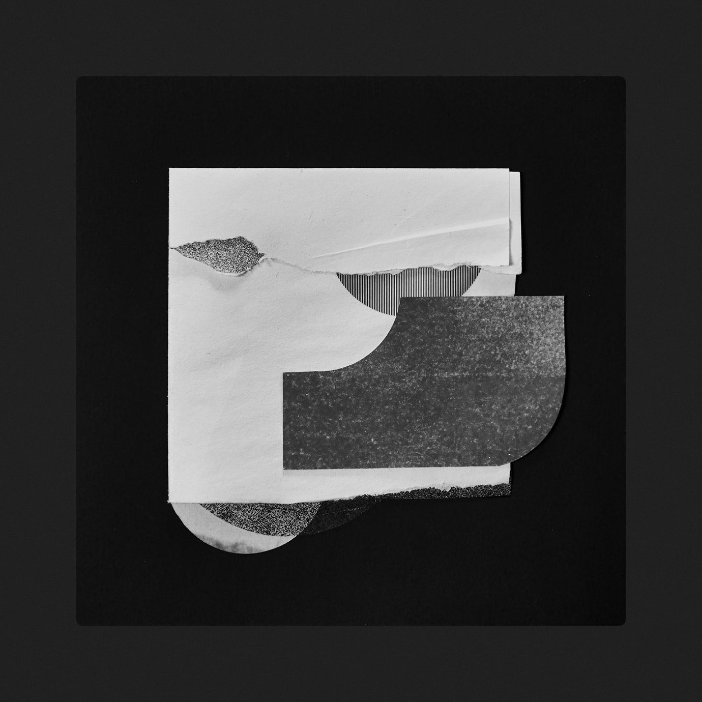 Now We Are Branches And Leaves — øjeRum, Peter Knight (2025)