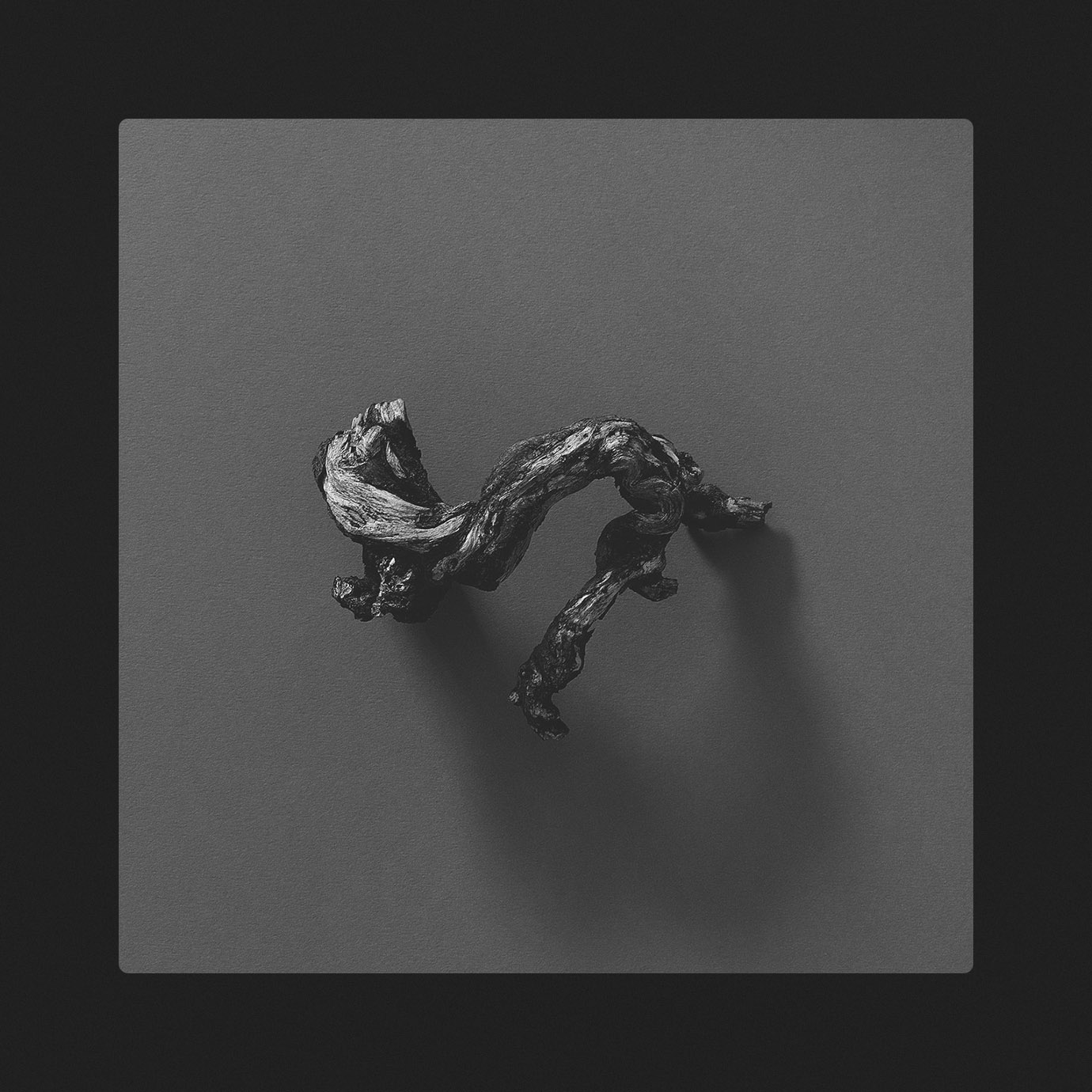 The Second Chamber — Richard Skelton (2025)