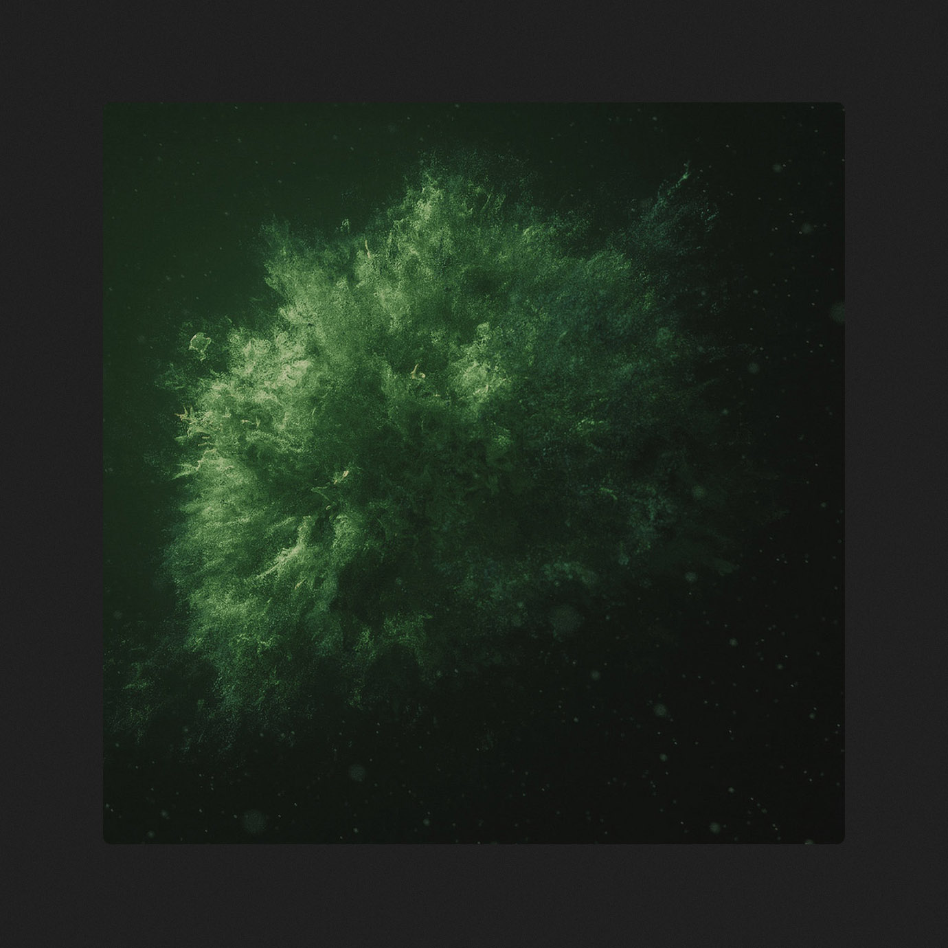 Subliminal Growth Patterns — Hadley Roe (2025)