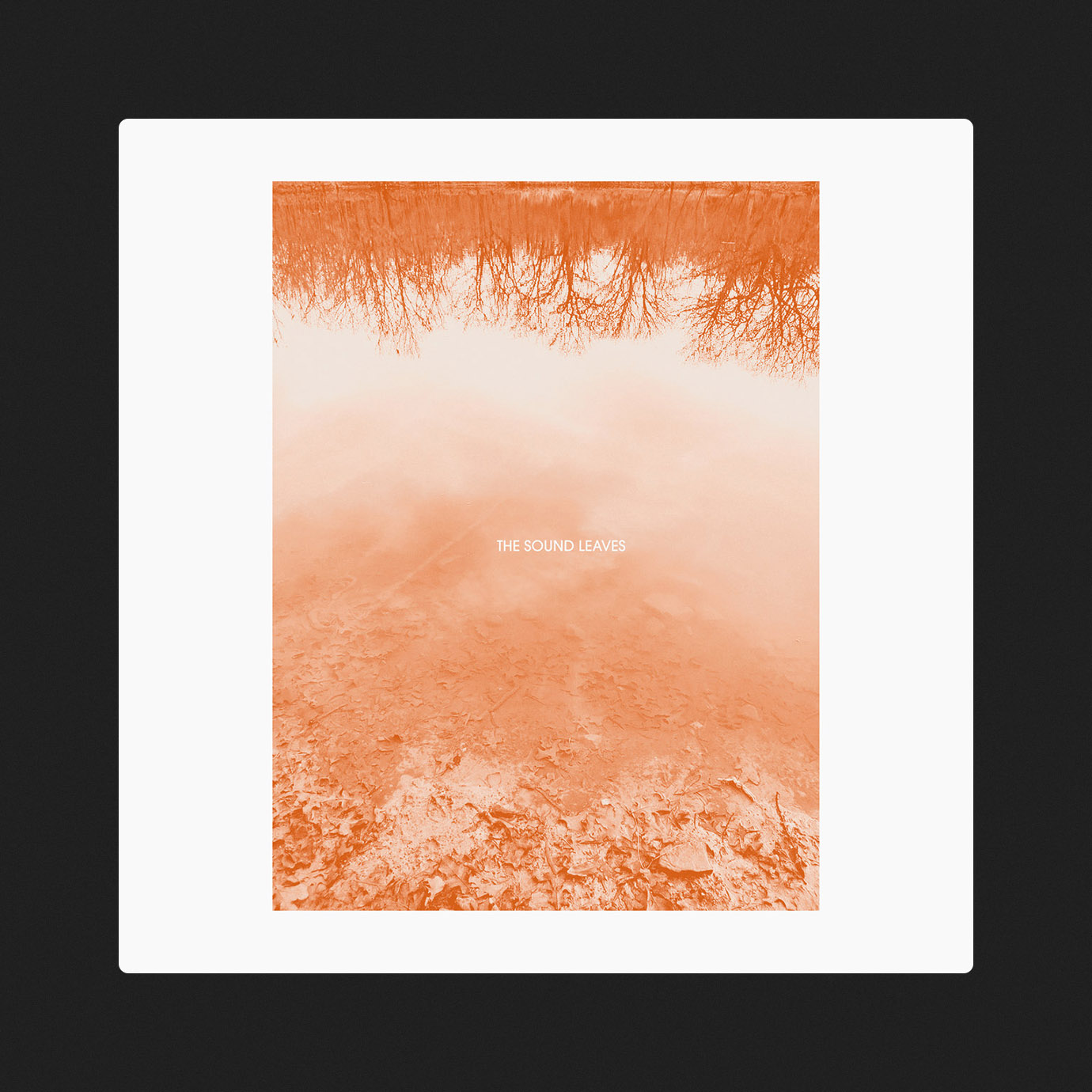 The Sound Leaves — Brad Rose (2026)