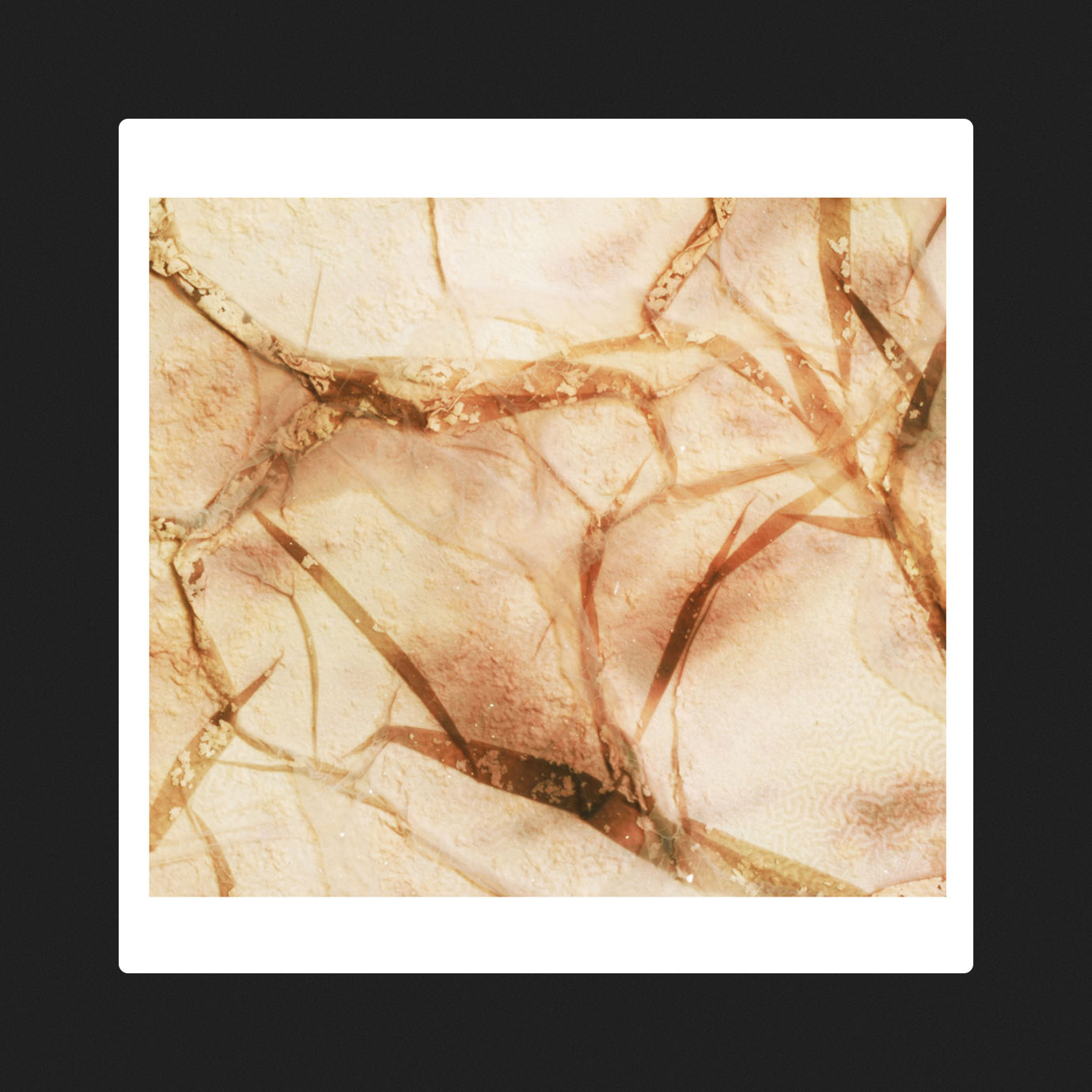 Tectonic Particles — Kayla Painter (2026)