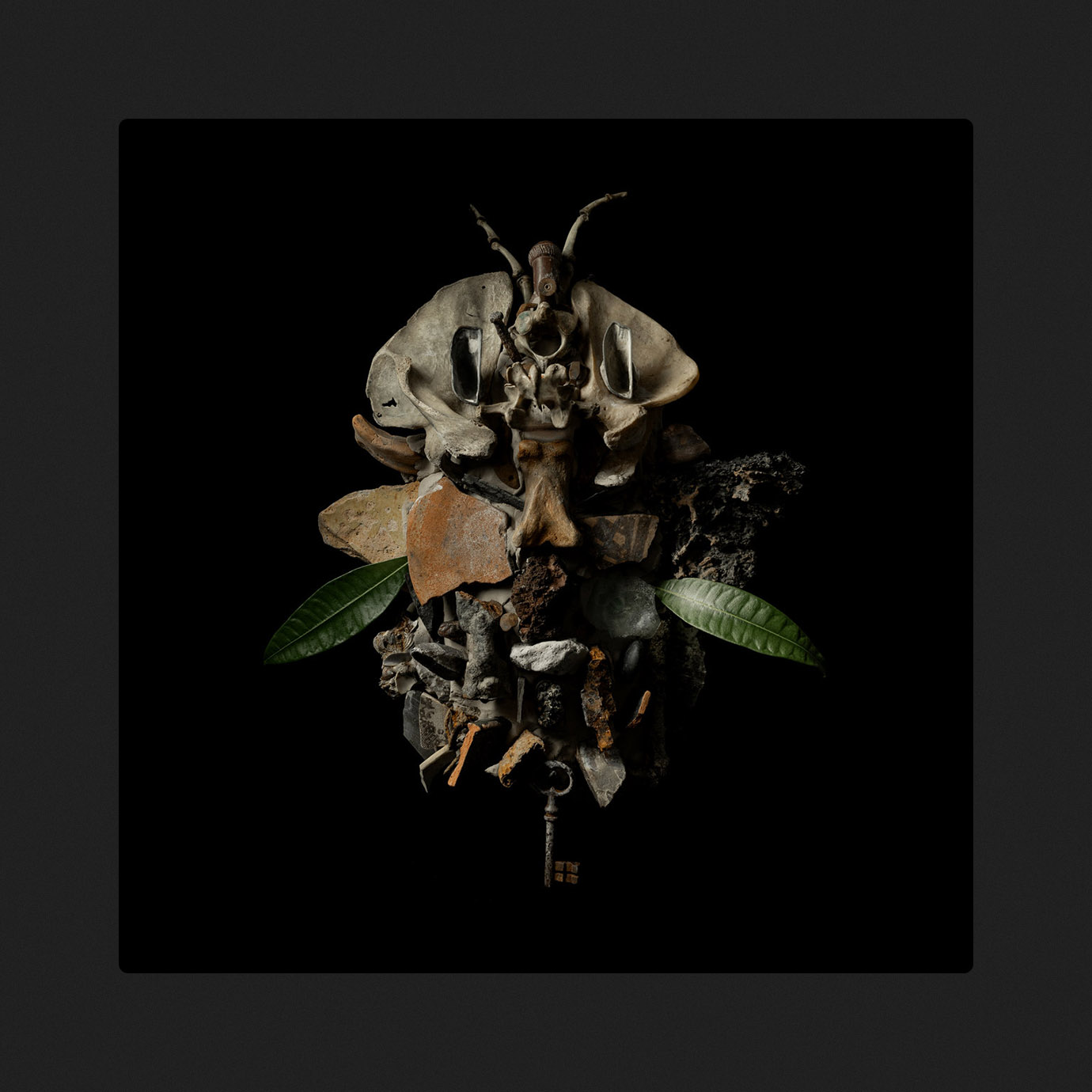 Displaces — Francesco Fabris (2026)