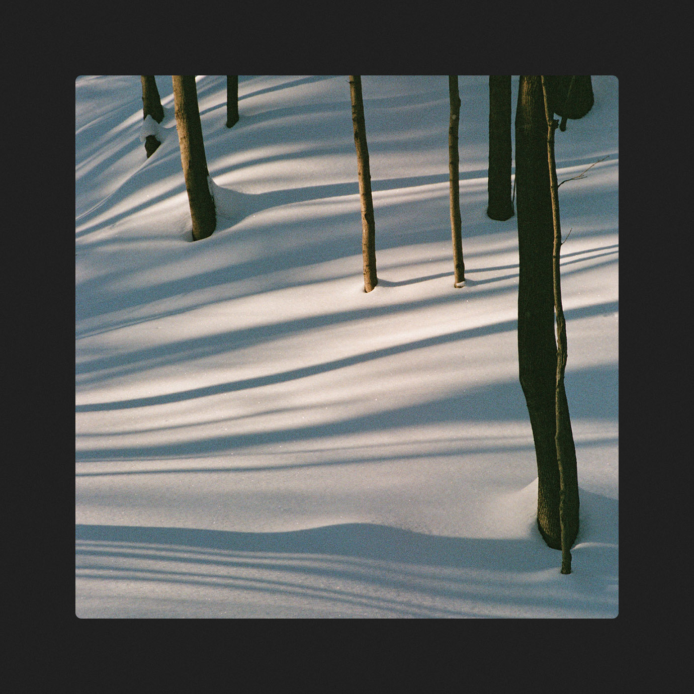 Fables — Isabel Pine (2026)