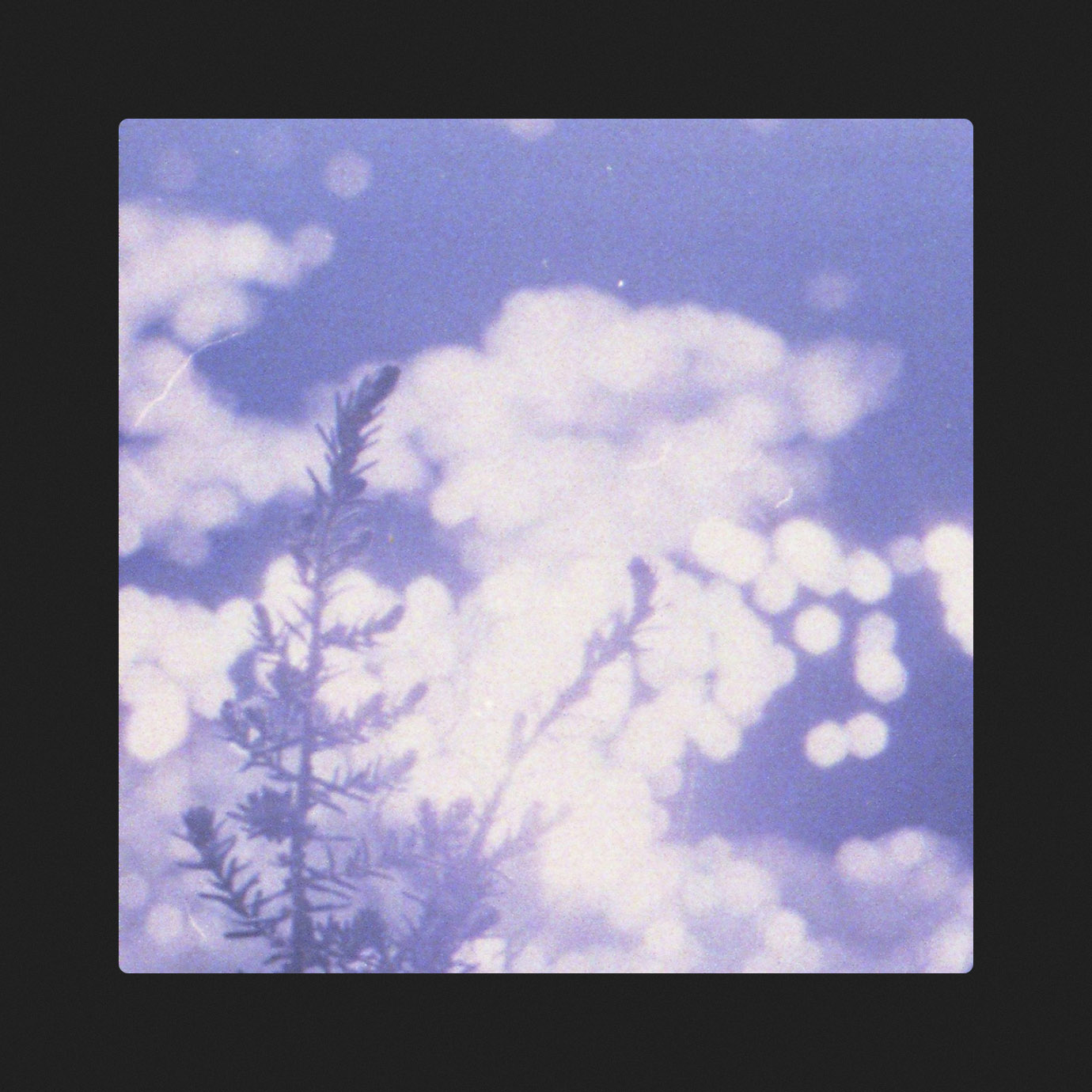 Through That Garden Gate — Miguel Otero, Raquel Pavón (2026)