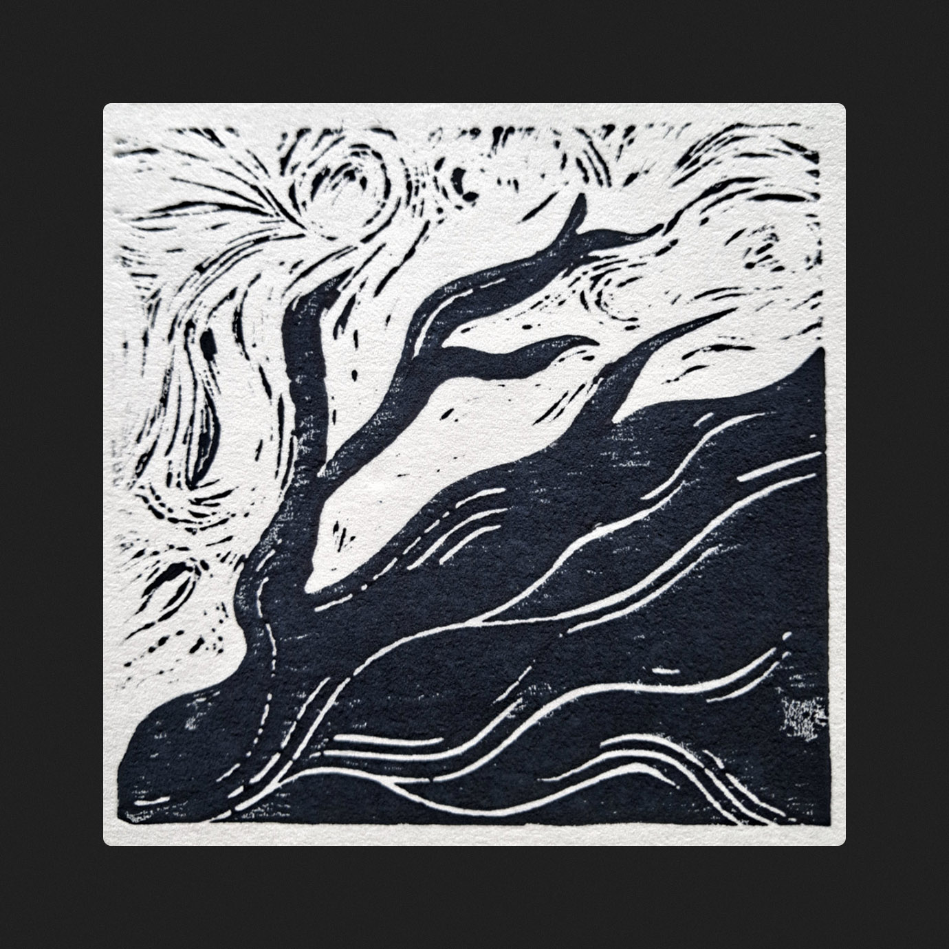 Distances — Rime Trails (2026)