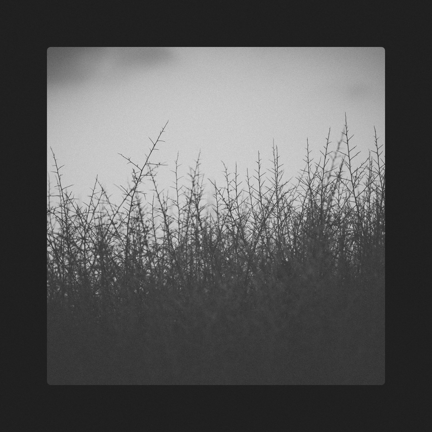 Scenario — Perry Frank (2026)