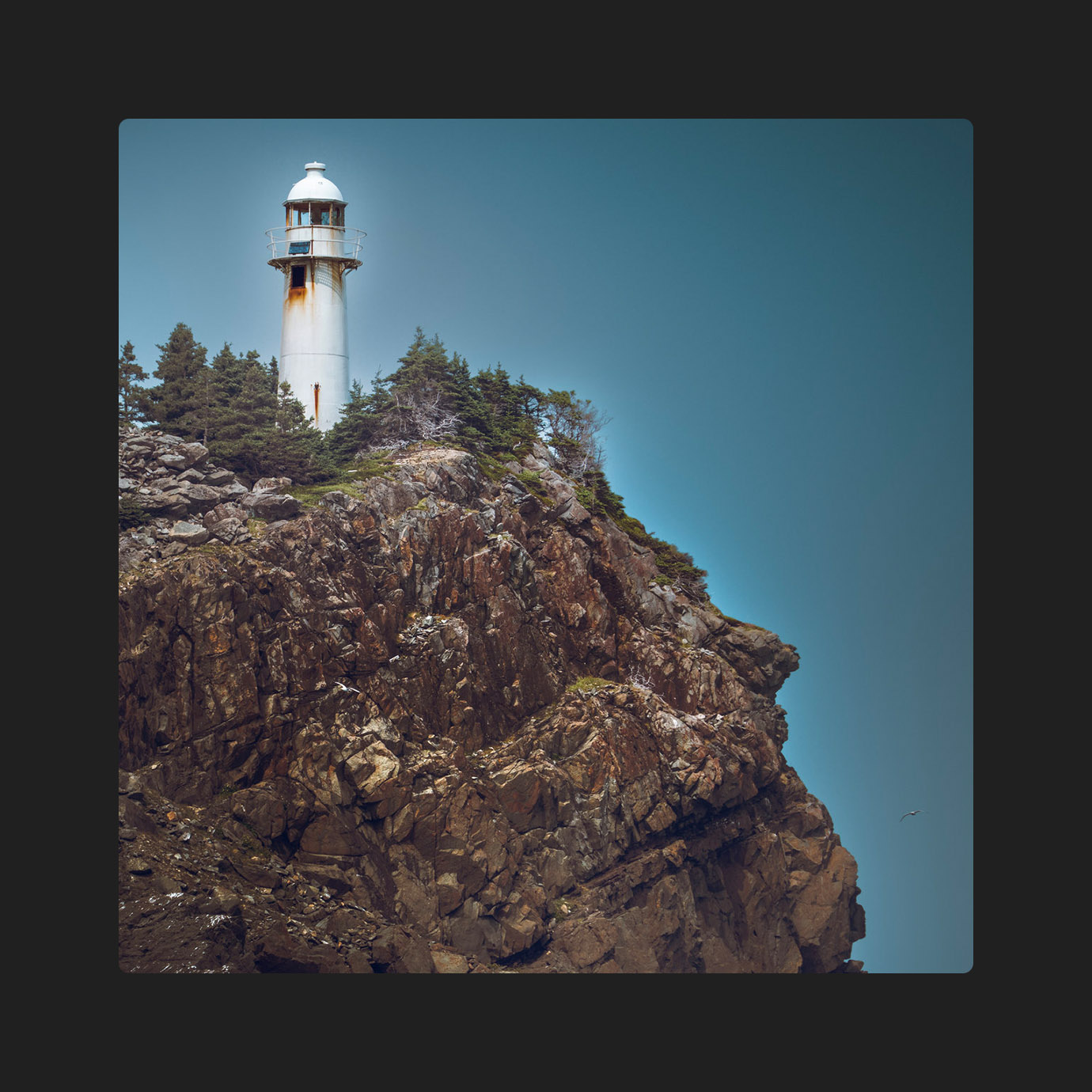 Solitarium — Toàn (2026)