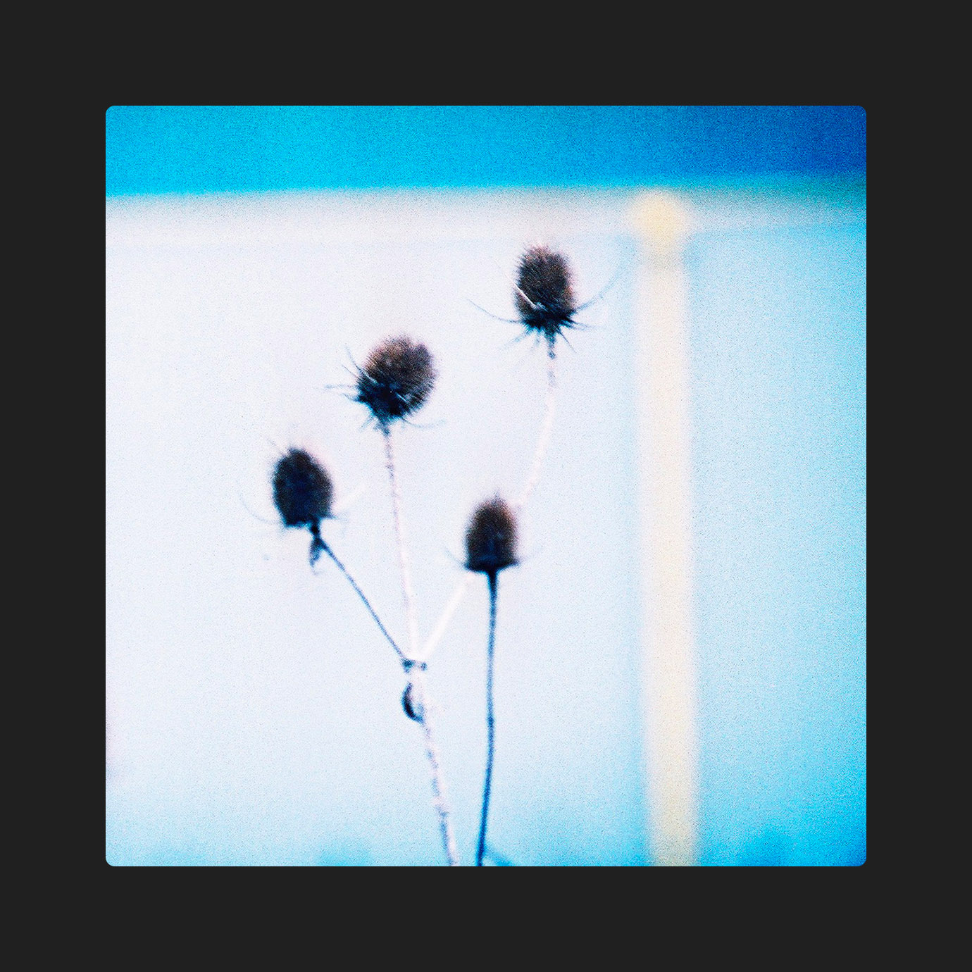 Tone Isolation — Maps and Diagrams (2026)