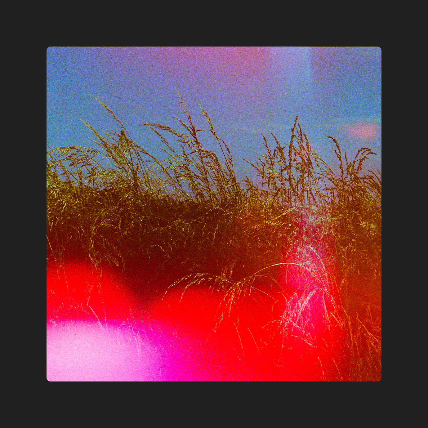 A Certain Distance — ndrw cnry (2026)