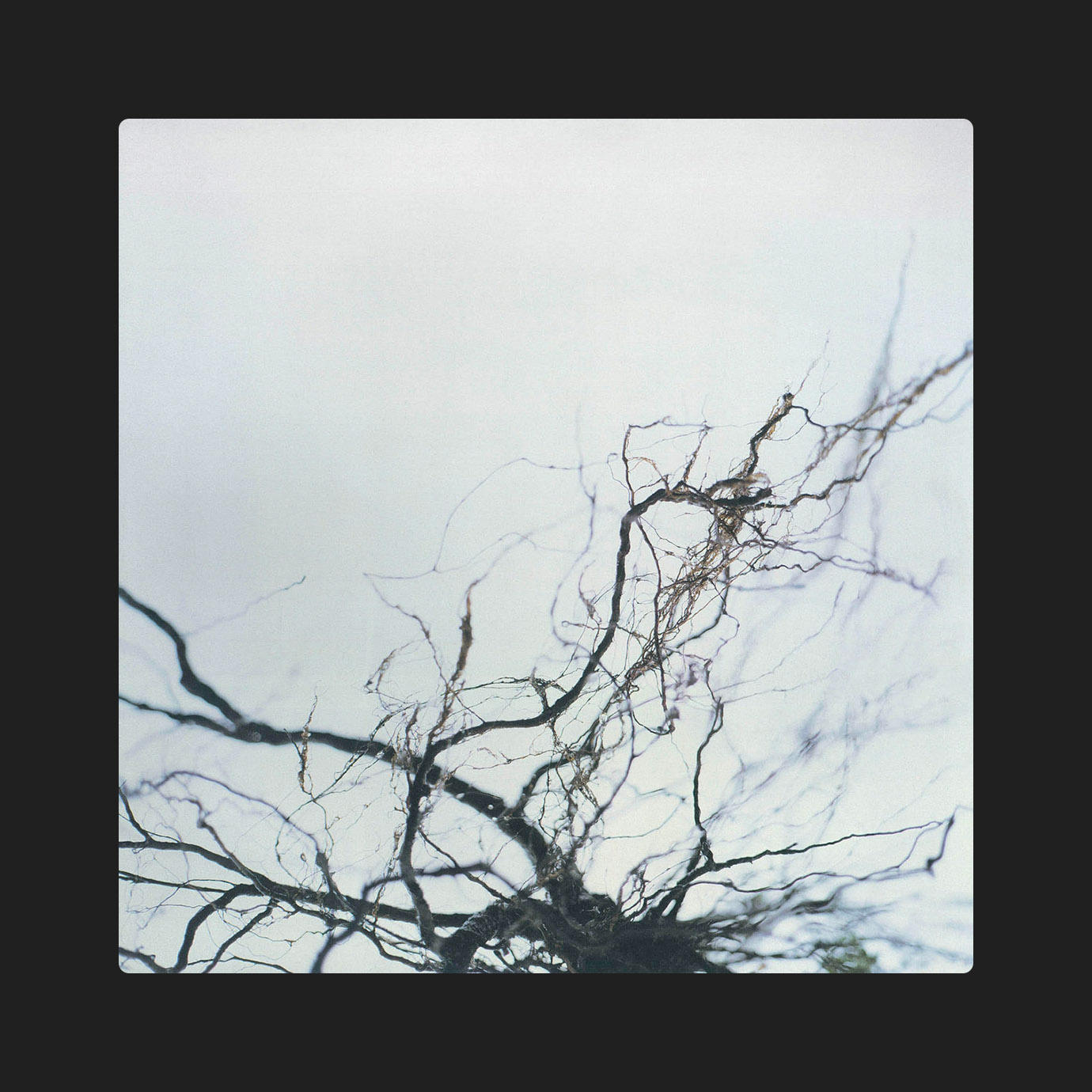 Nova + 4 — Yutaka Hirose (1986)