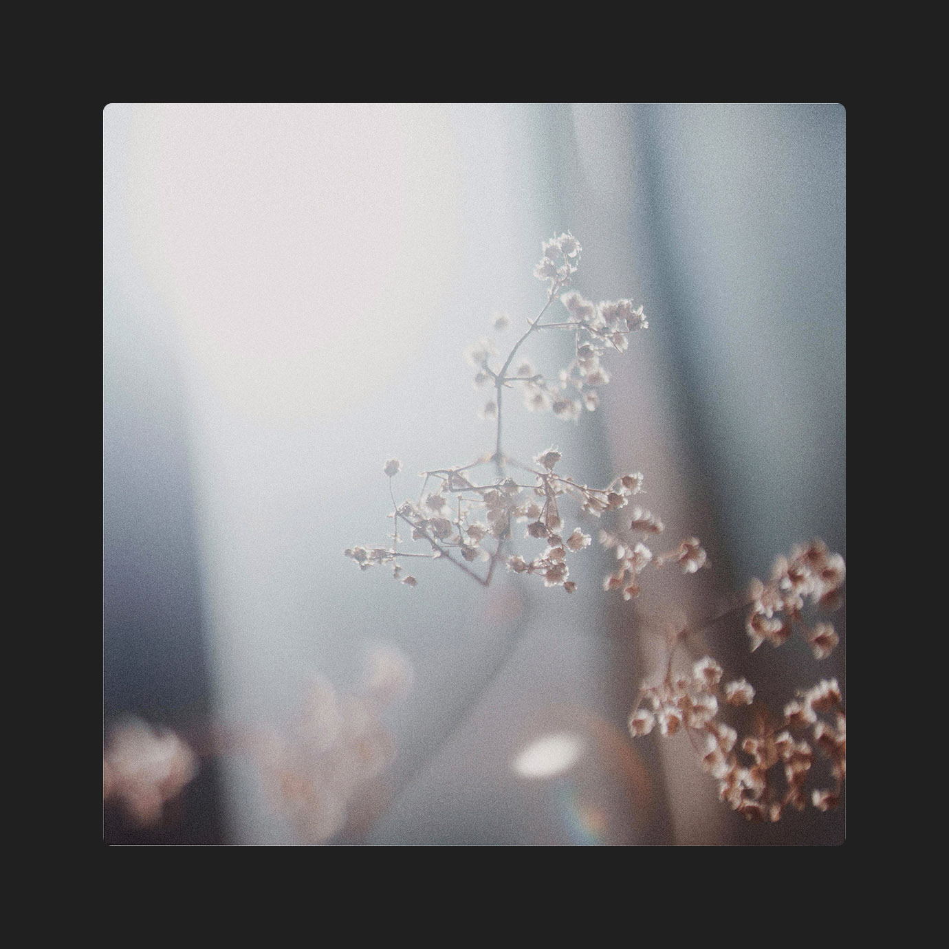 Acceptance — Here (2026)