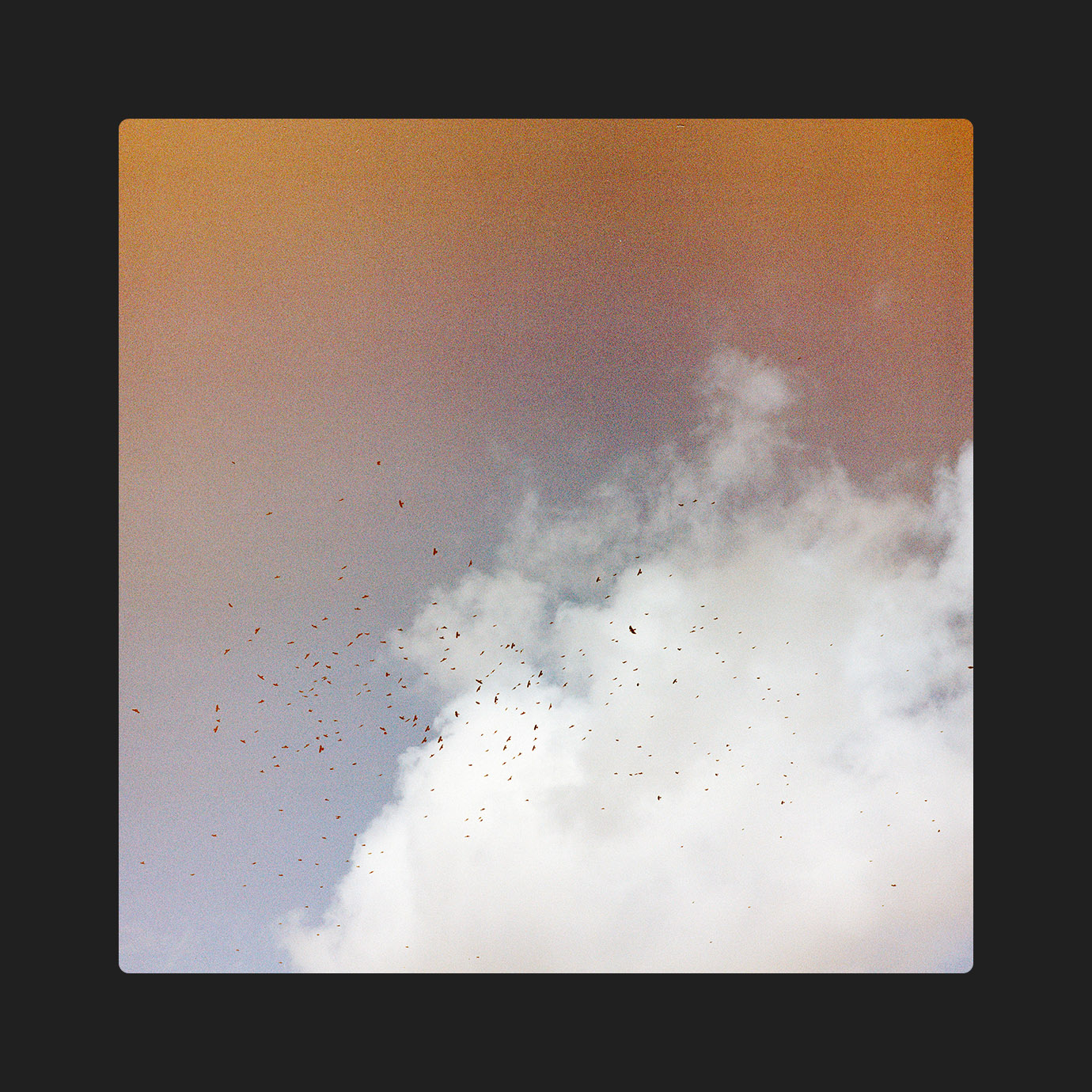 Collaborations III — Artefakt, KMRU (2026)