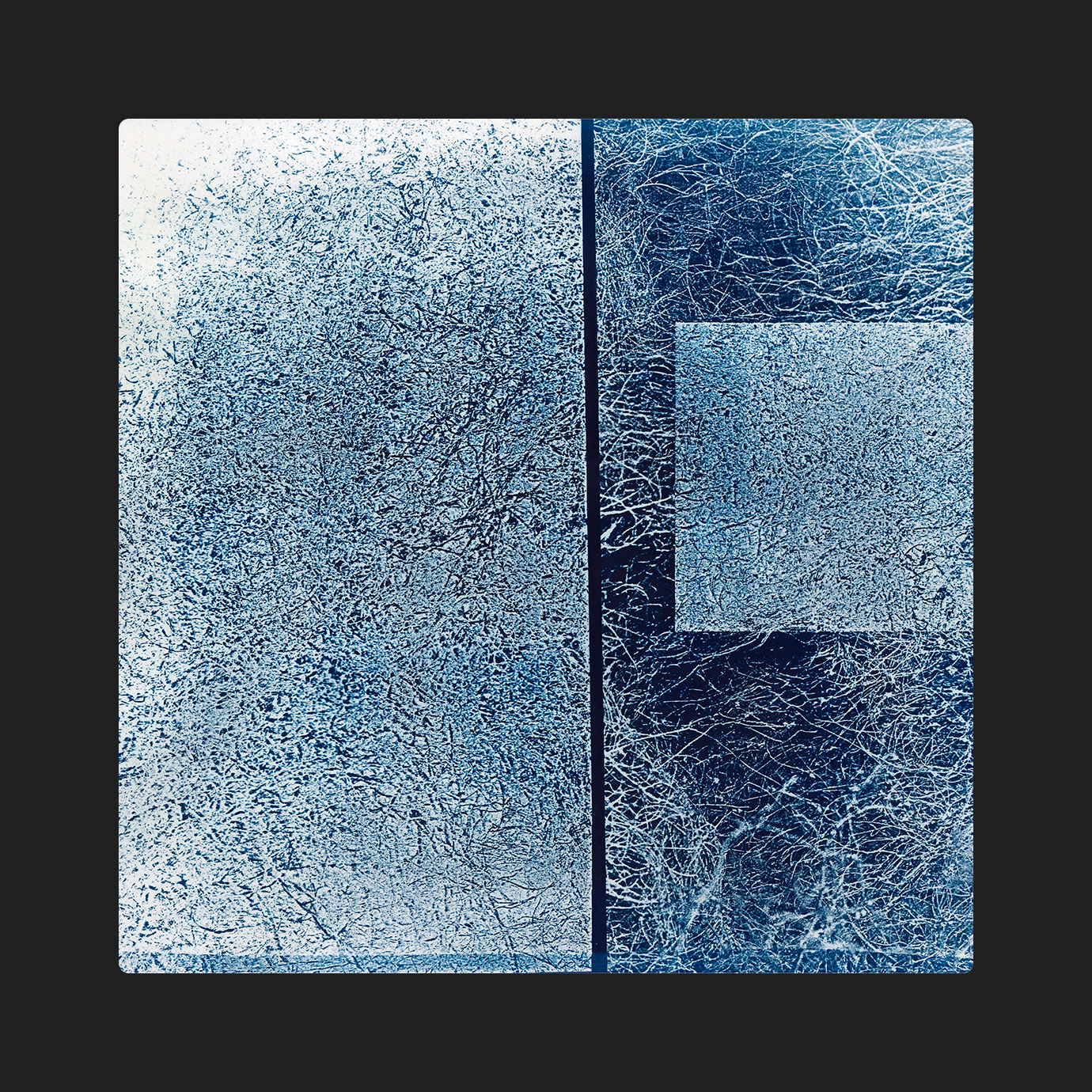 Window Forms — Oskar Tomala (2026)