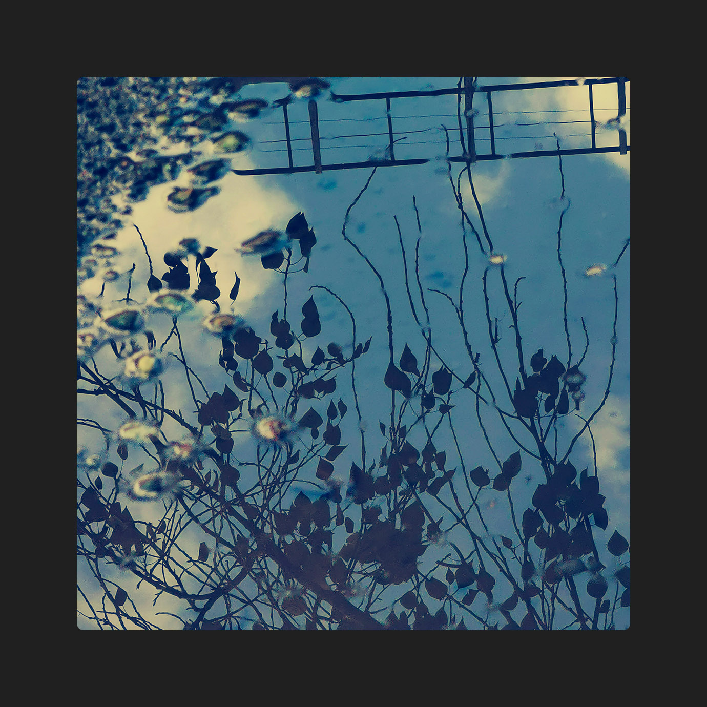 Aware 哀れ — Tomotsugu Nakamura, David Cordero (2026)