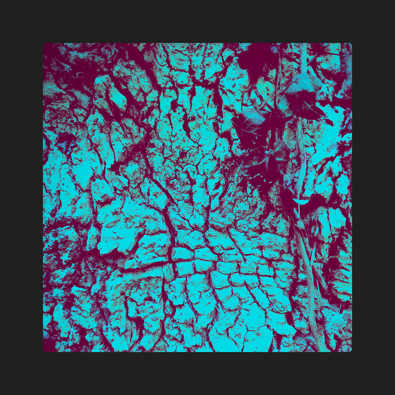 Rite — CIRC (2026)