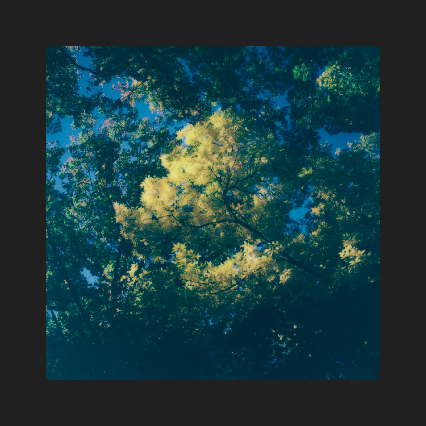 Still Beauty — Zakè, Marine Eyes (2026)