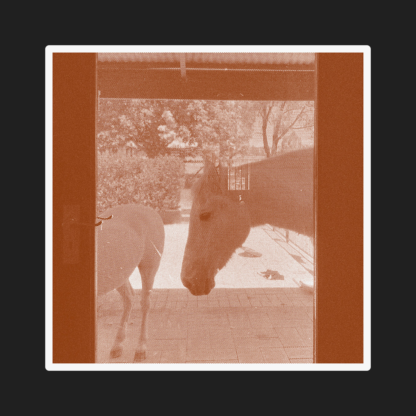 Country/The Country — J.WLSN, Liam Keenan (2026)