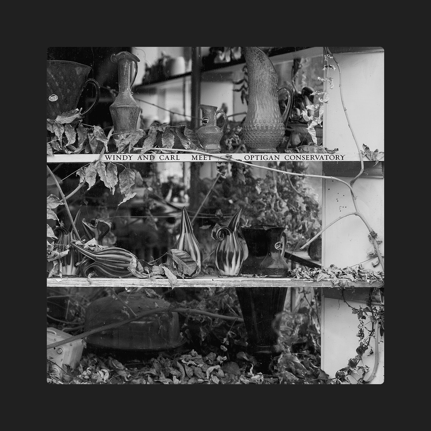 Windy & Carl Meet Optigan Conservatory — Windy & Carl (2026)