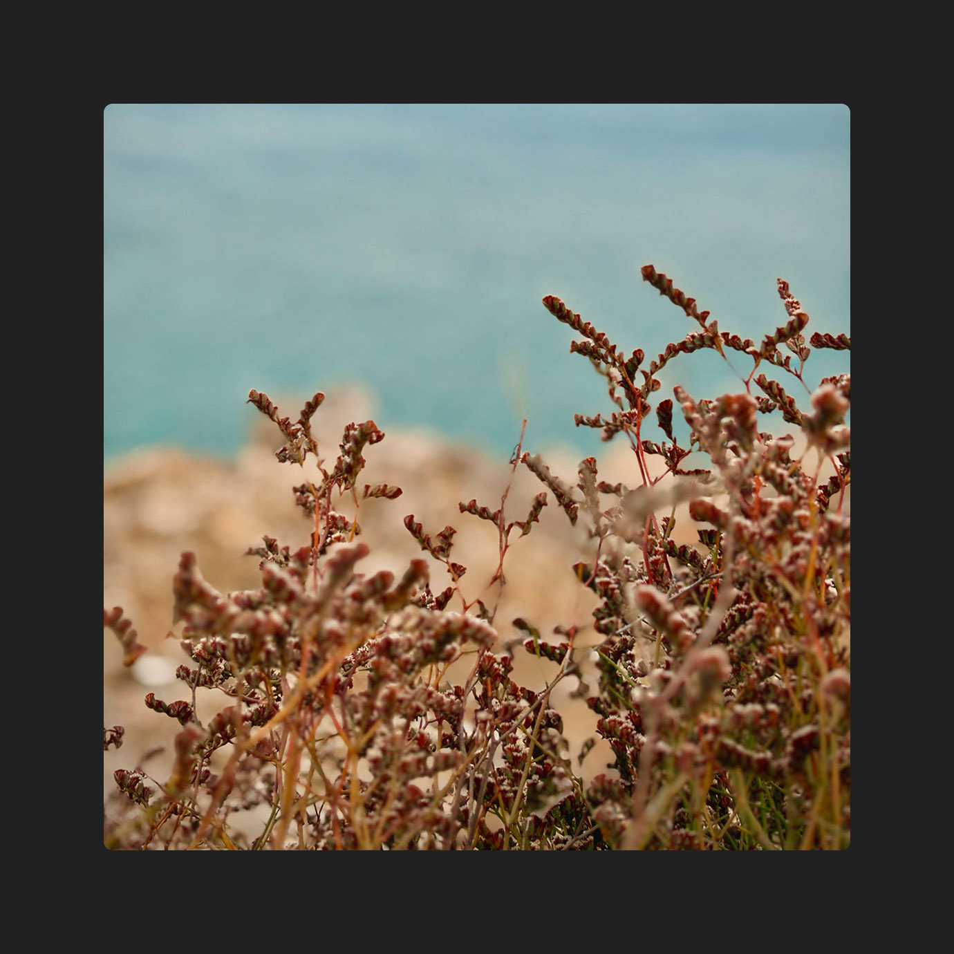The Distant Sea — Ghostloop (2026)